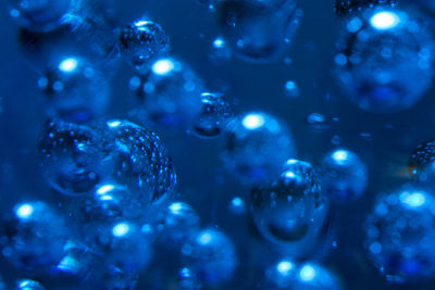 Close-up of jellyfish in water