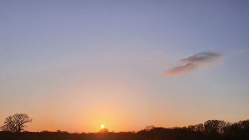 Low angle view of silhouette trees against sky during sunset