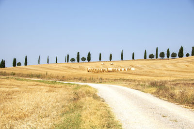 Road amidst field against clear sky