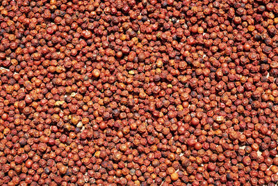 Full frame shot of peppercorns