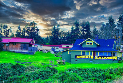 House and trees on field against sky