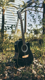 View of guitar on field