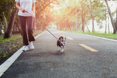 Low section of person with dog on road