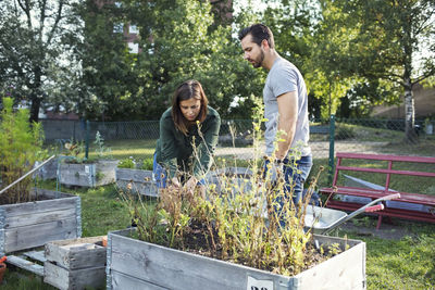 Mid adult man and woman planting together in urban garden