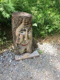 Close-up of statue against tree