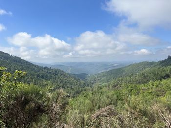 environment