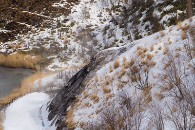 High angle view of snow covered trees during winter