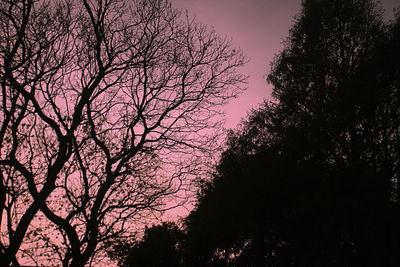 Low angle view of silhouette trees against sky at sunset