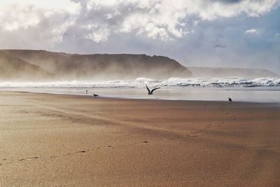 Scenic view of beach against sky