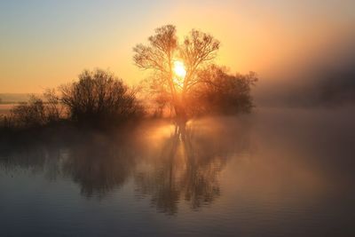 Trees by lake against sky during sunset