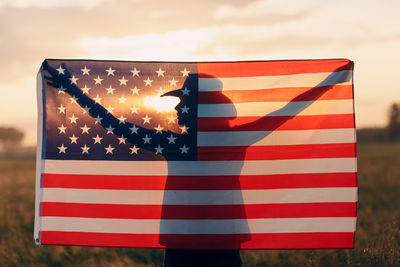 Close-up of flag against sky