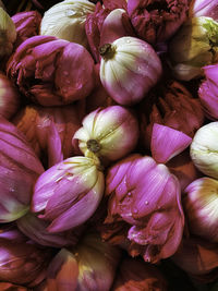 Full frame shot of vegetables