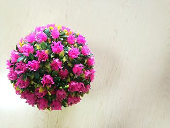 Close-up of pink flowers blooming outdoors