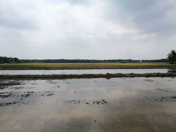 Scenic view of farm against sky