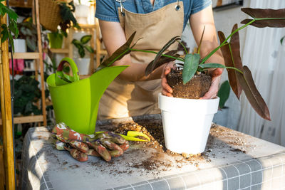 Midsection of woman holding potted plant