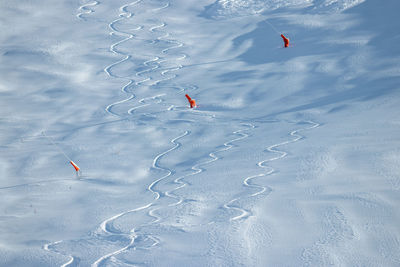 View of the ski slopes in the snow. traces left by skiers in the snow