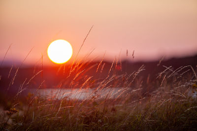 Scenic view of field against sky during sunset