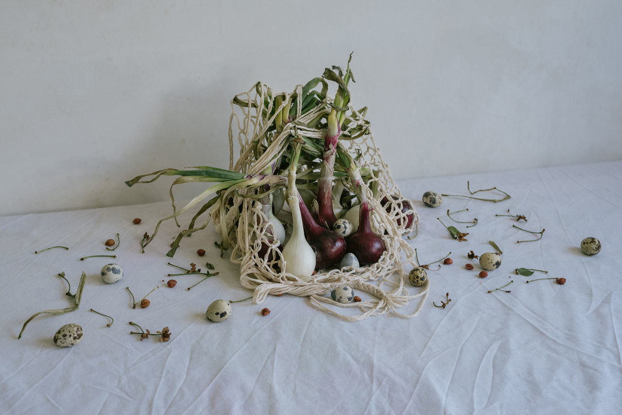 HIGH ANGLE VIEW OF VEGETABLES AND TABLE ON PLANT