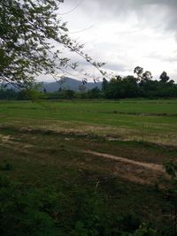 Scenic view of field against sky