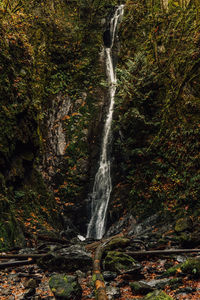 Waterfall in forest