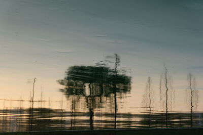 Silhouette tree by wet window against sky during sunset