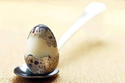 Close-up of quail egg on table