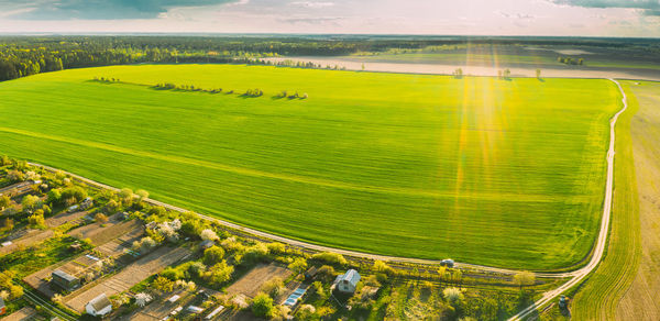 High angle view of agricultural field