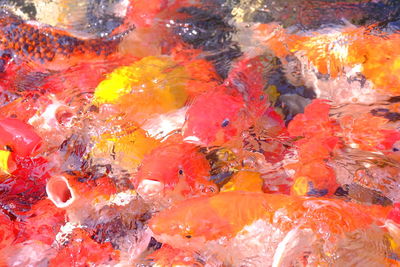 Close-up of abstract background