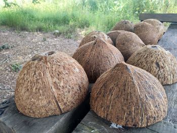 Close-up of coconut shells on table