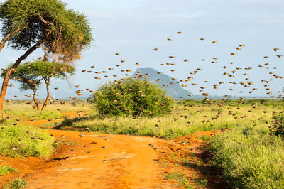 Scenic view of land against sky