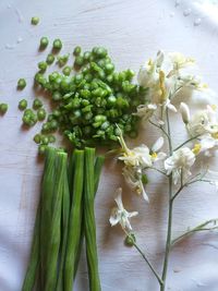 High angle view of white flowering plants on table