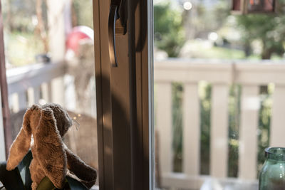 Close-up of a cat looking through window