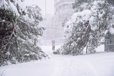 View of a city street covered in snow during heavy snowfall with fallen trees. 