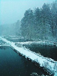 Scenic view of snow covered landscape