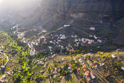 High angle view of trees and buildings in city