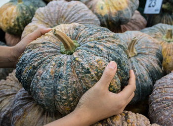 Cropped hands of woman holding squash
