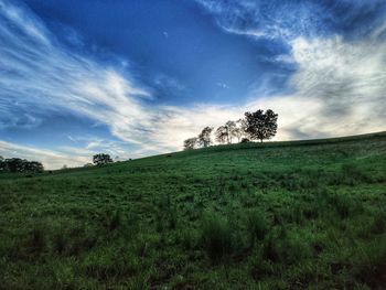 Scenic view of grassy field against sky