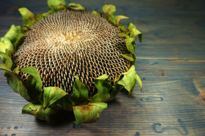 Close-up of green leaves on table