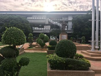 View of plants against built structure