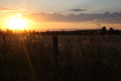 Scenic view of field against sky during sunset