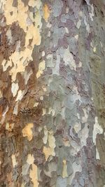 Full frame shot of weathered wall