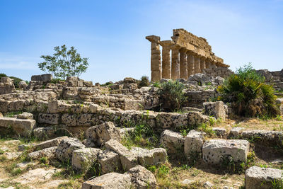 Ruins of greek acropolis of selinunte near the temple of apollo, castelvetrano, sicily, italy