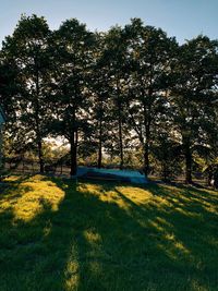 Trees on field against sky