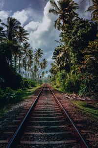 Railway tracks amidst trees against sky