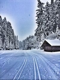 Snow covered road along trees