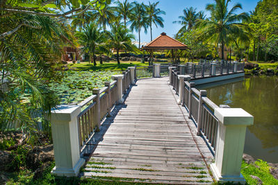 View of beautiful green lotus pond and buildings of luxury hotel at tropical resort