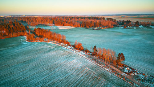 Winter green agricultural field winter crops  snow. colorful trees december sunset rural dirt road. 
