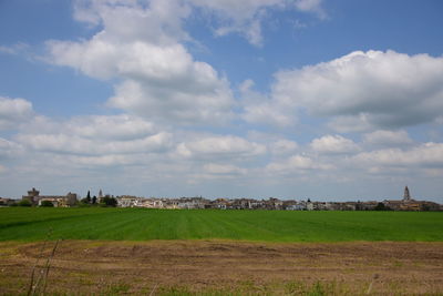 Scenic view of field against sky