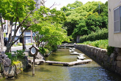 Bridge over river amidst trees and buildings