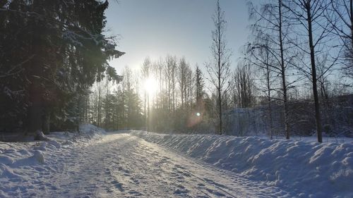 Snow covered bare trees against clear sky